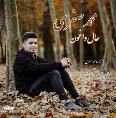 محمد صفری حال داغون